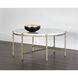 Solana 34 X 16 inch White / Antique Brass Coffee Table